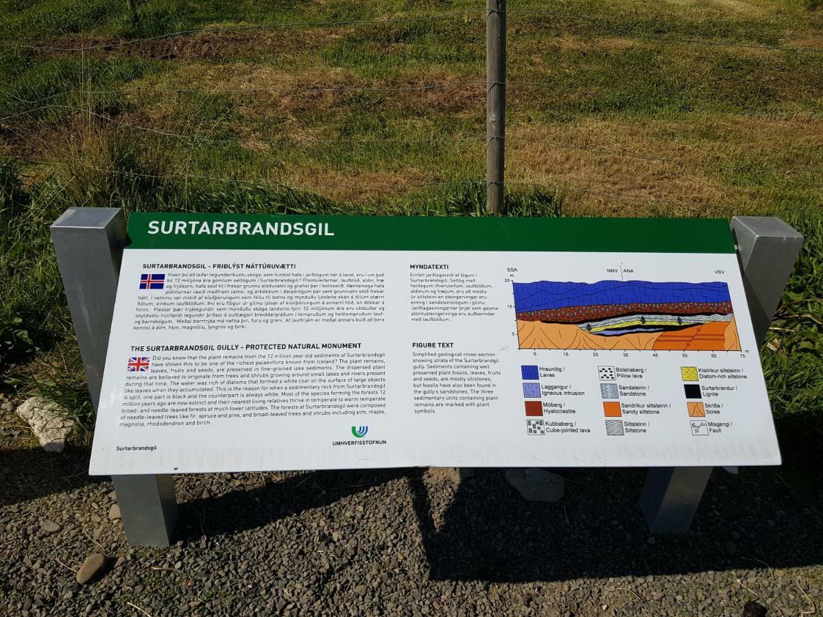 Farm stay Gamli Baerinn Brjanslaekur